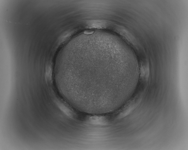 X0000111130444200907141214
