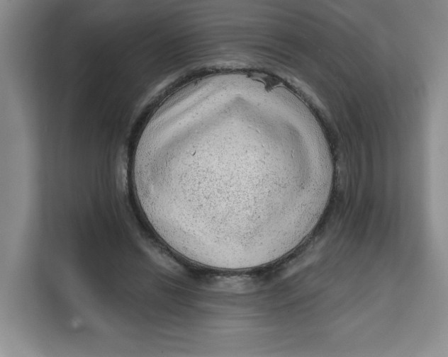 X0000111130446200907141214