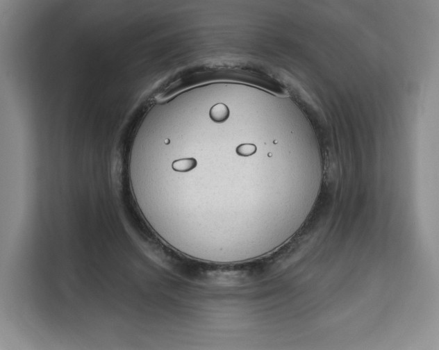 X0000111130448200907141214