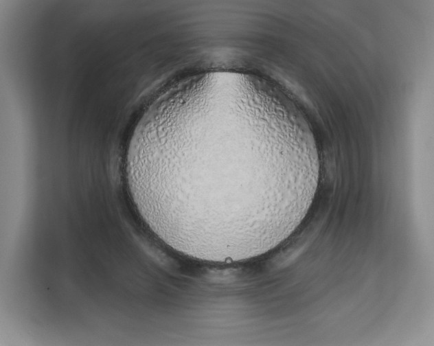 X0000111130450200907141214