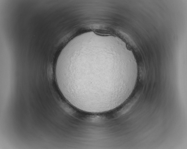 X0000111130453200907141214