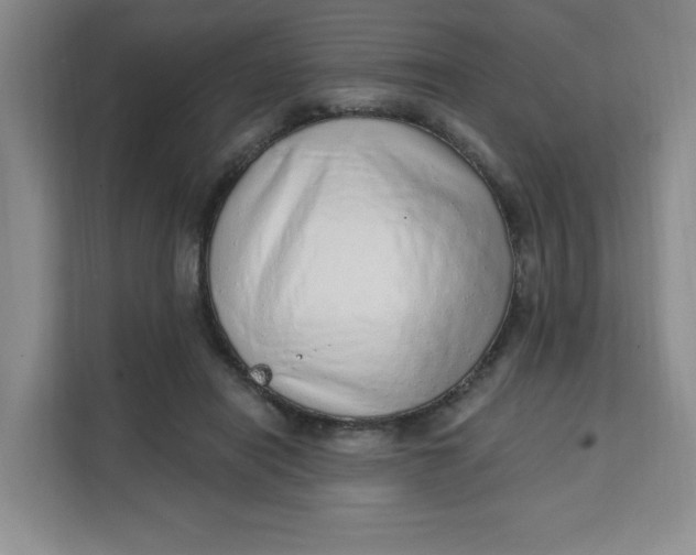 X0000111130454200907141214