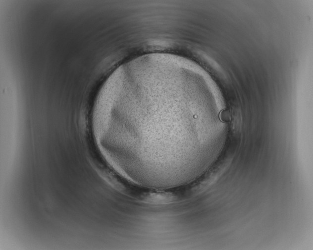 X0000111130455200907141214
