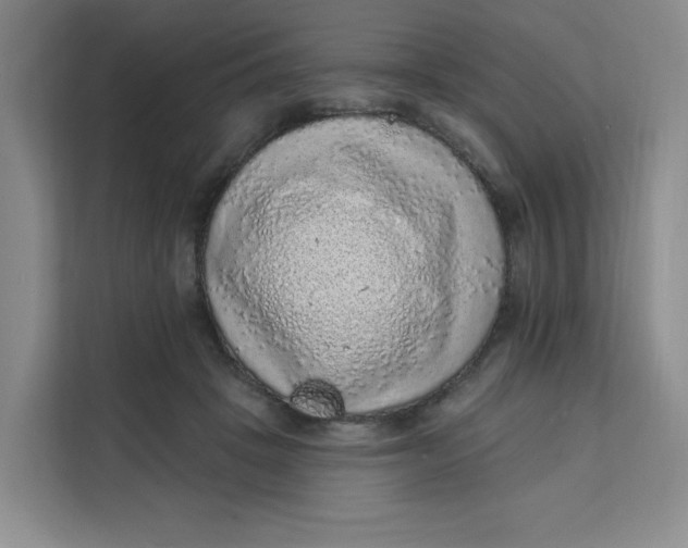X0000111130457200907141214