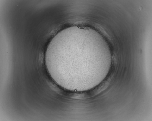 X0000111130458200907141214