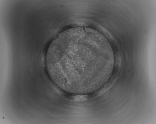 X0000111130465200907141214