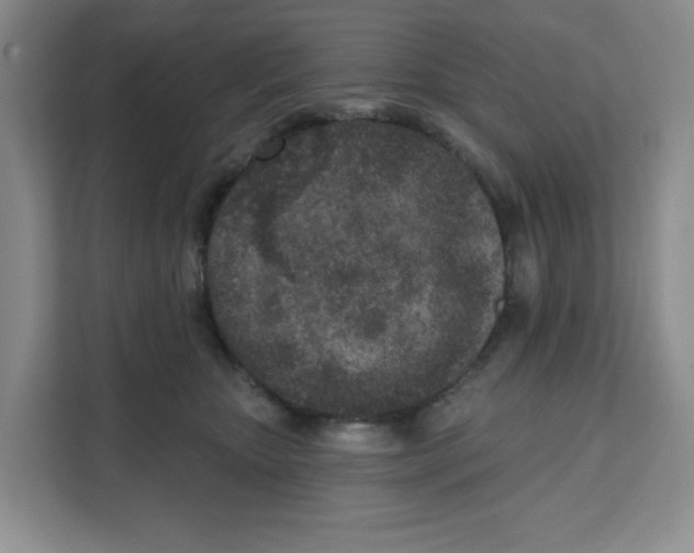 X0000111130467200907141214