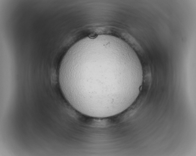 X0000111130469200907141214