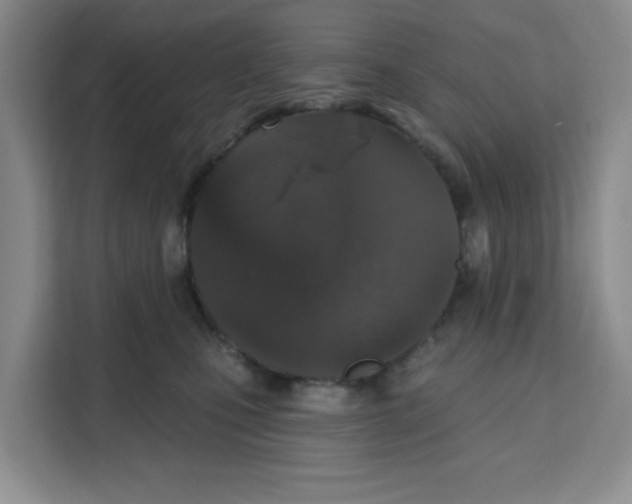 X0000111130471200907141214