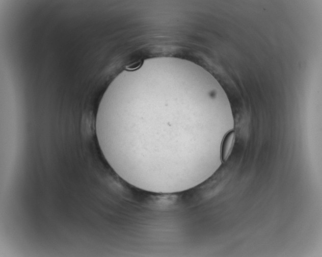 X0000111130474200907141214