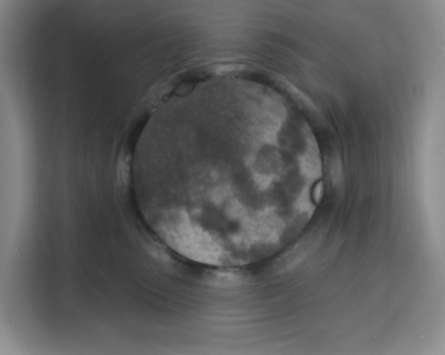 X0000111130475200907141214