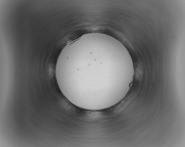 X0000111130476200907141214