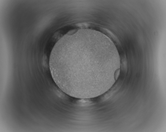 X0000111130477200907141214