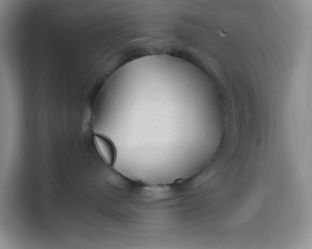 X0000111130480200907141214