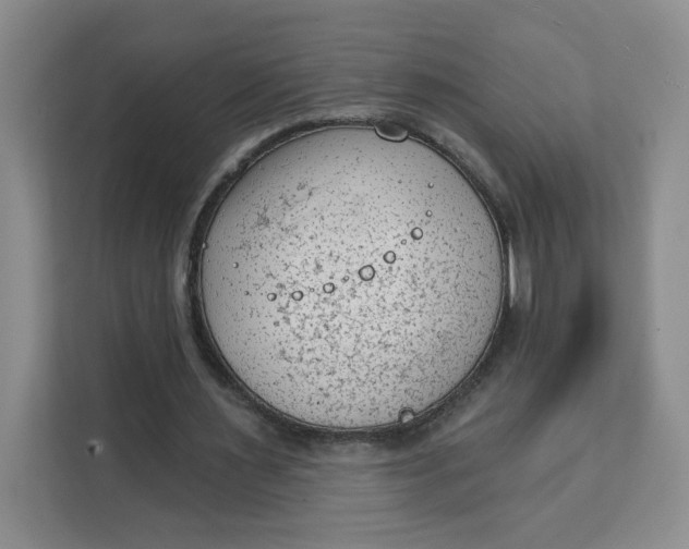 X0000111130483200907141214