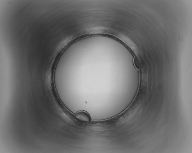 X0000111130485200907141214