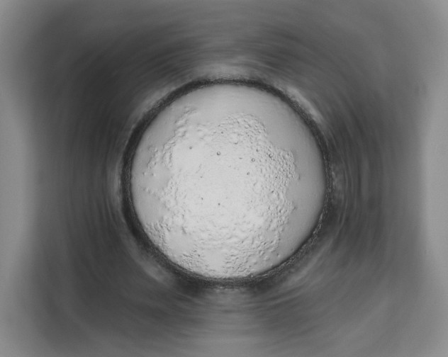 X0000111130487200907141214
