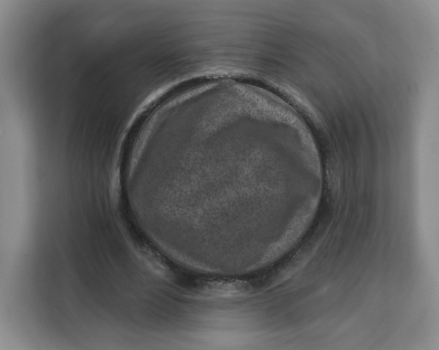 X0000111130488200907141214