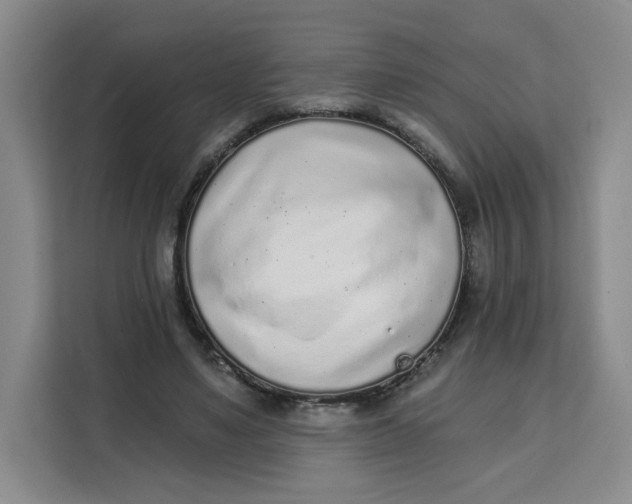X0000111130491200907141214