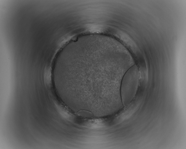 X0000111130492200907141214