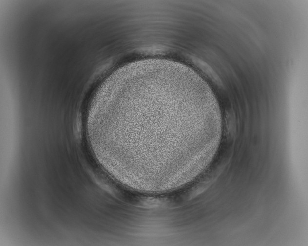 X0000111130494200907141214