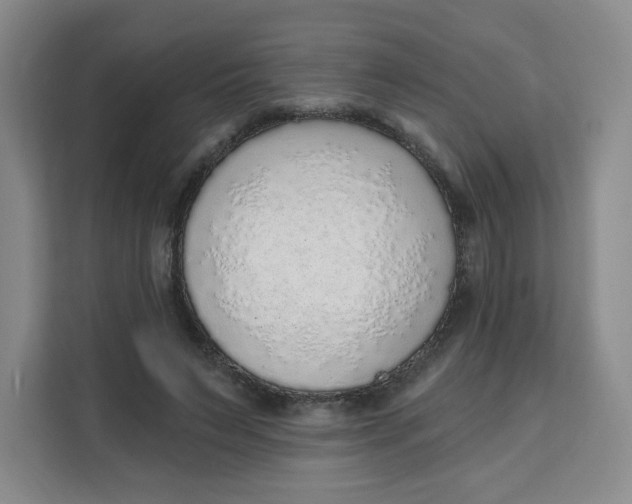 X0000111130495200907141214
