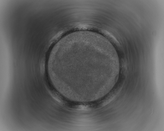 X0000111130496200907141214