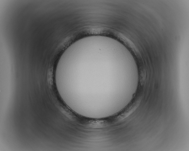 X0000111130497200907141214