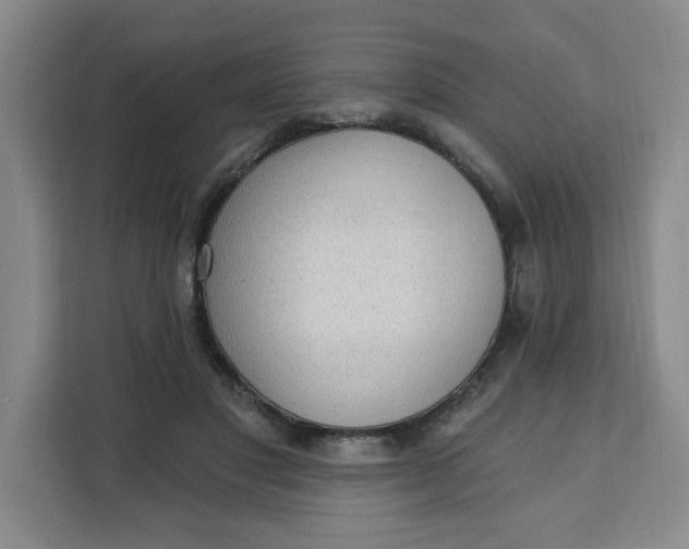X0000111130501200907141213
