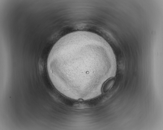 X0000111130503200907141213
