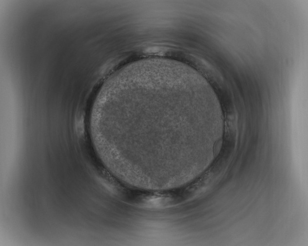 X0000111130504200907141213