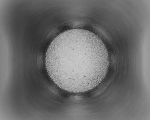 X0000111130506200907141213