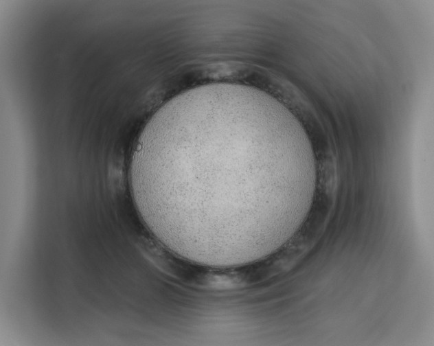 X0000111130510200907141213