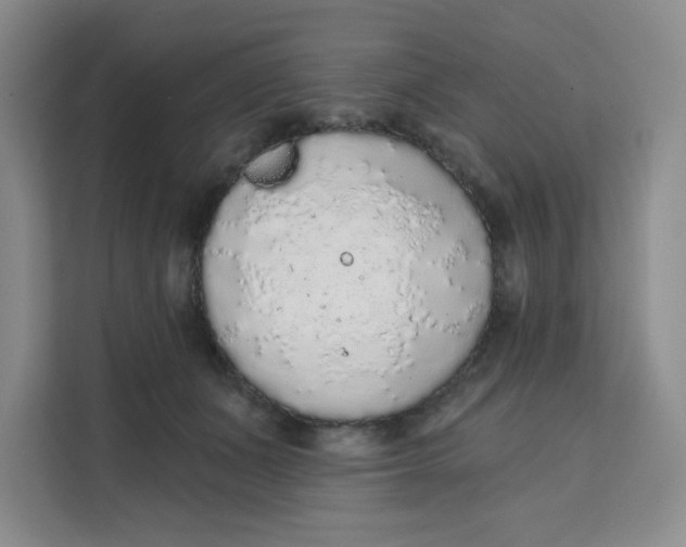 X0000111130511200907141213