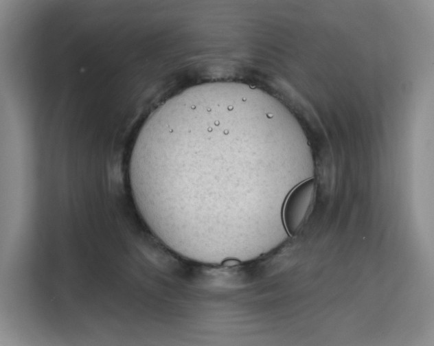 X0000111130516200907141213