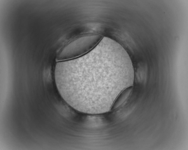 X0000111130520200907141213