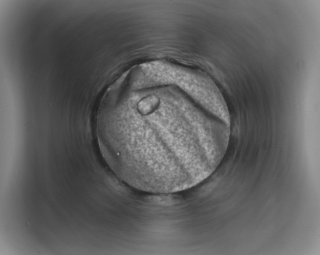 X0000111130524200907141213