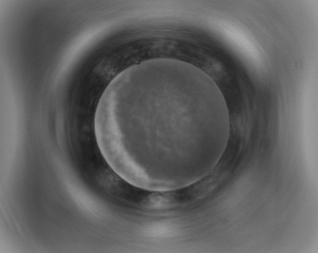 X0000111130526200907141213