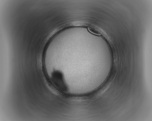 X0000111130530200907141213