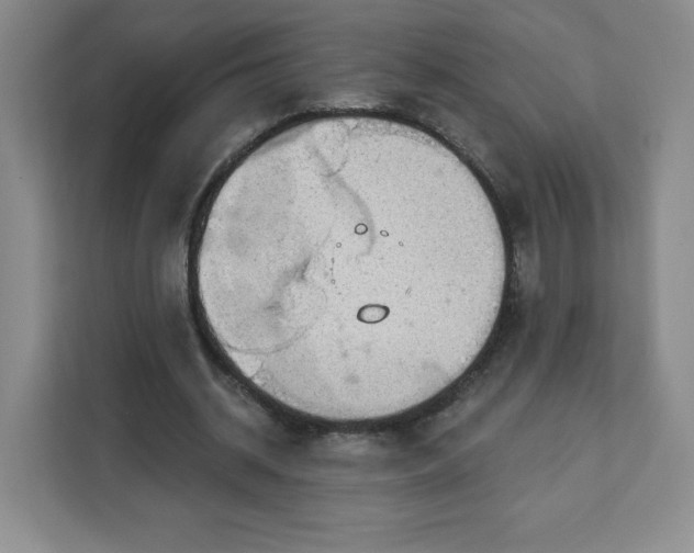 X0000111130534200907141213