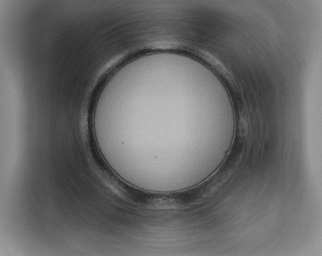 X0000111130535200907141213