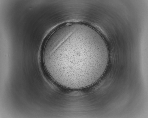 X0000111130536200907141213