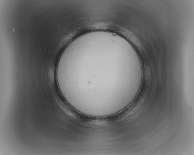 X0000111130537200907141213