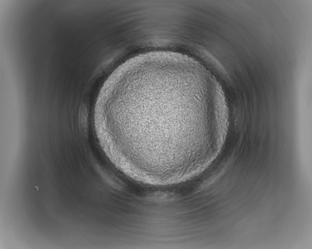 X0000111130542200907141213