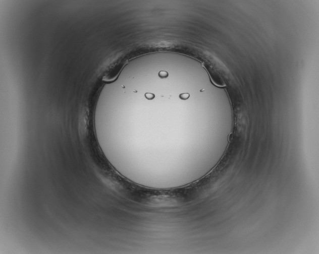 X0000111130544200907141213