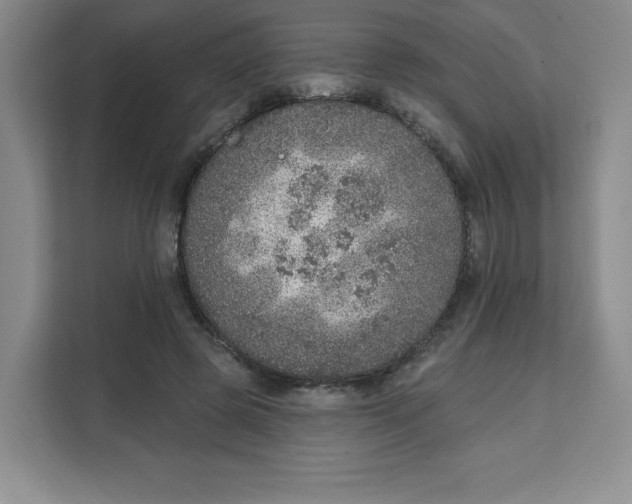 X0000111130545200907141213