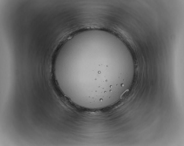 X0000111130548200907141213