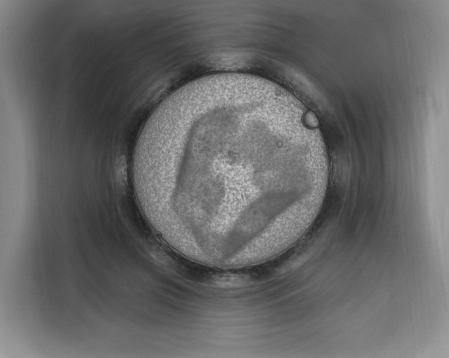X0000111130549200907141213