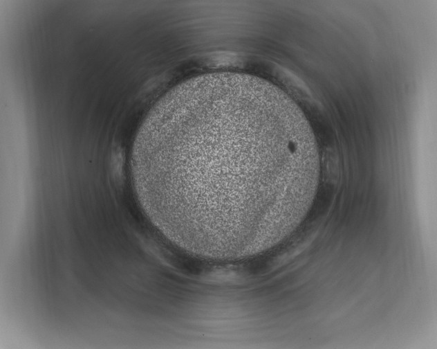 X0000111130550200907141213