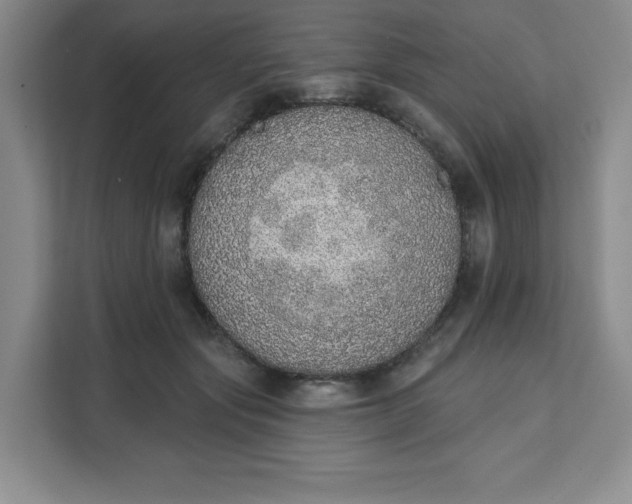 X0000111130557200907141213